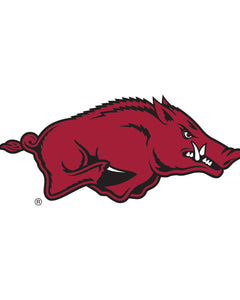 Collection image for: Arkansas Razorbacks®