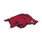 Arkansas Razorbacks®
