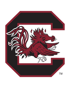 Collection image for: South Carolina Gamecocks®