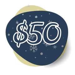 Collection image for: Holiday Gifts Under $50