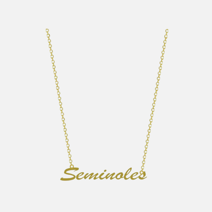 Florida State Seminoles Brielle Team Necklace