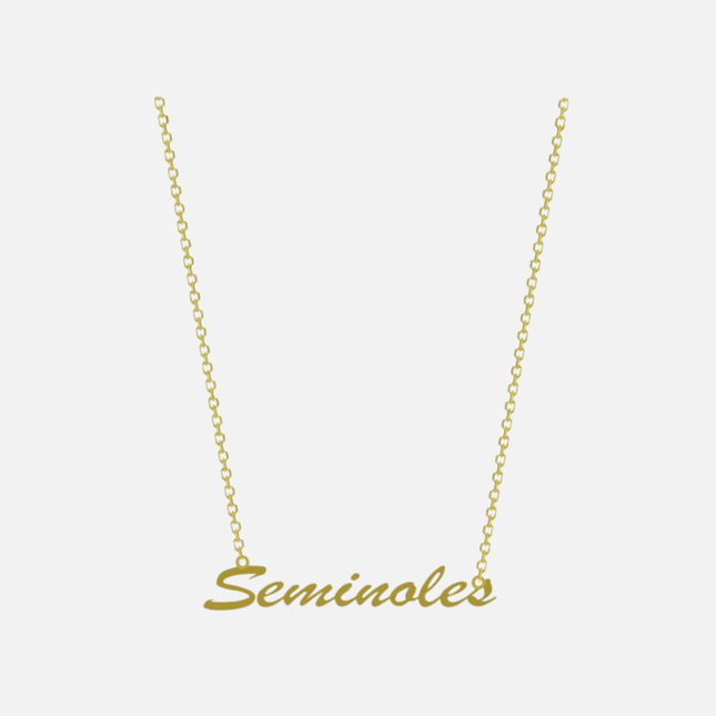 Florida State Seminoles Brielle Team Necklace