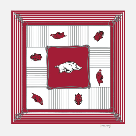 Arkansas Razorbacks Bailey Square Scarf