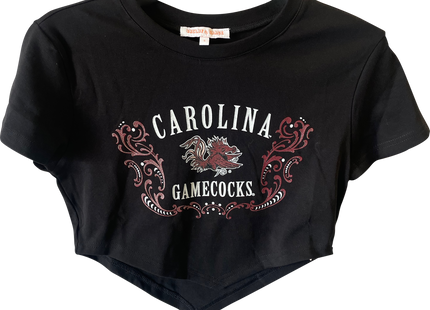 South Carolina Gamecocks Astro Crop Tee