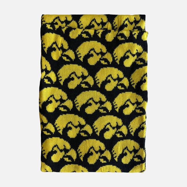 Iowa Hawkeyes Logo Infinity Scarf