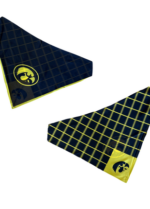 Iowa Hawkeyes Snap Scarf
