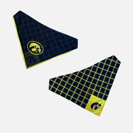 Iowa Hawkeyes Reversible Snap Scarf