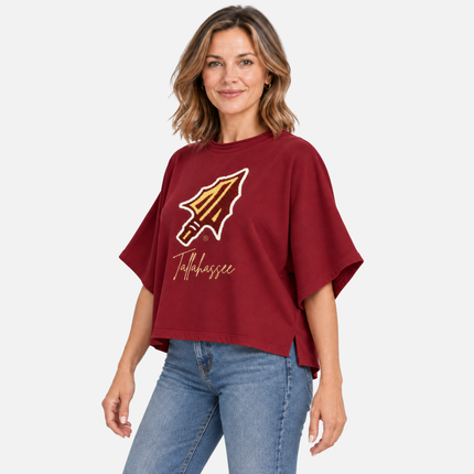 Florida State Seminoles Chenille Top