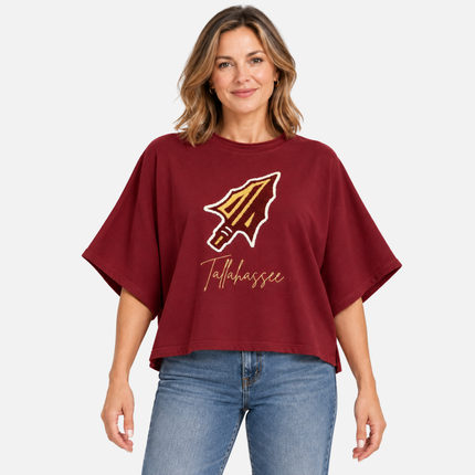 Florida State Seminoles Chenille Top