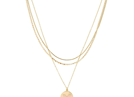 Michigan Wolverines Grizzy Necklace