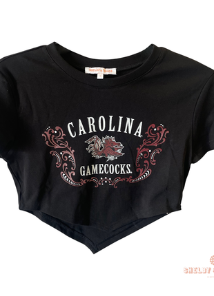 South Carolina Gamecocks Astro Crop Tee