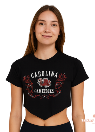 South Carolina Gamecocks Astro Crop Tee