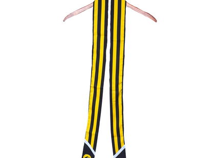 Iowa Hawkeyes Rena Stripe Scarf