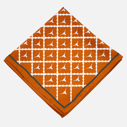 Texas Longhorns Prins Cape Cod Hair Square Scarf