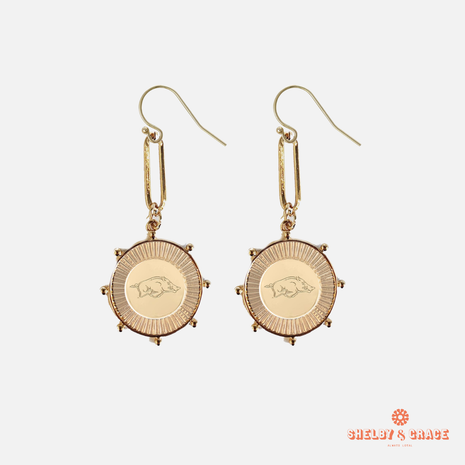 Arkansas Razorbacks Pixel Earrings