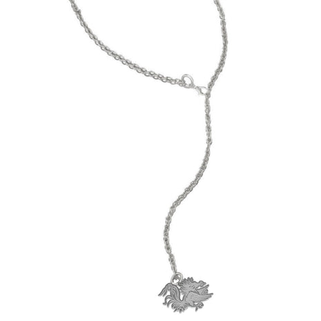 South Carolina Gamecocks