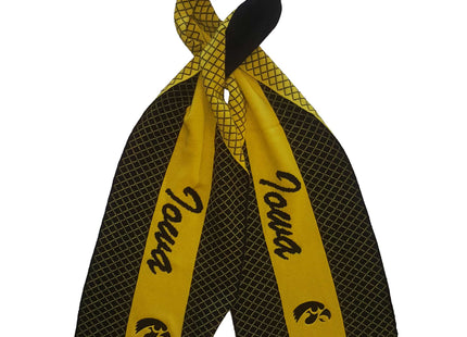 Iowa Hawkeye